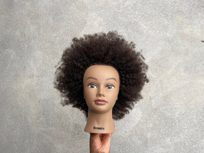 Nakai Mannequin Head