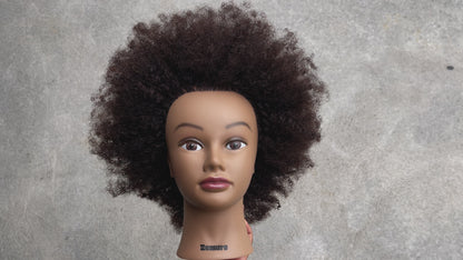 Nakai Mannequin Head